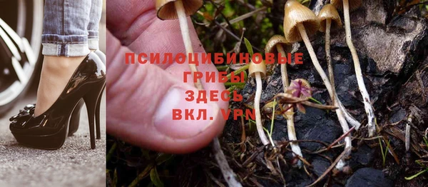 меф Зеленодольск