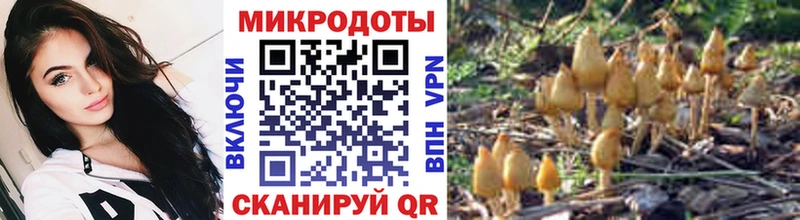 Псилоцибиновые грибы ЛСД  закладки  Шахунья 